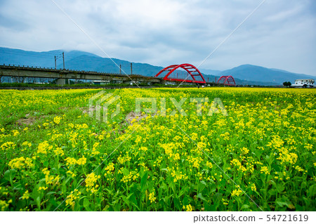 臺灣花蓮玉里火車風光Asia Taiwan Hualien scenery 54721619