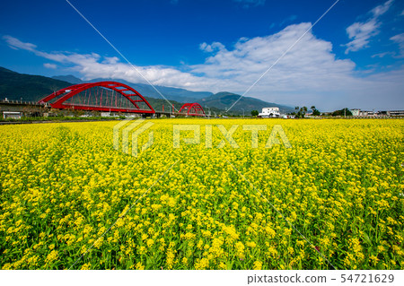 臺灣花蓮玉里火車風光Asia Taiwan Hualien scenery 54721629