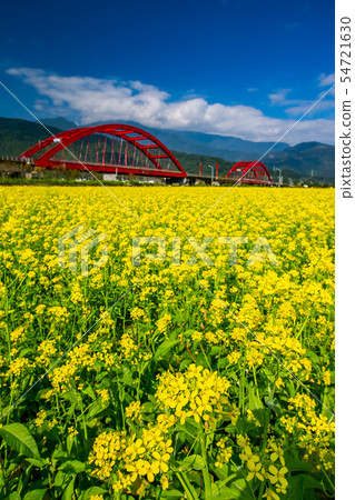 臺灣花蓮玉里火車風光Asia Taiwan Hualien scenery 54721630