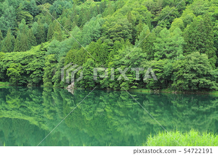Mysterious lake water dyed green 54722191