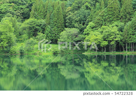 神秘的湖水染成綠色 54722328