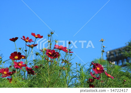  宇宙領域 54722417