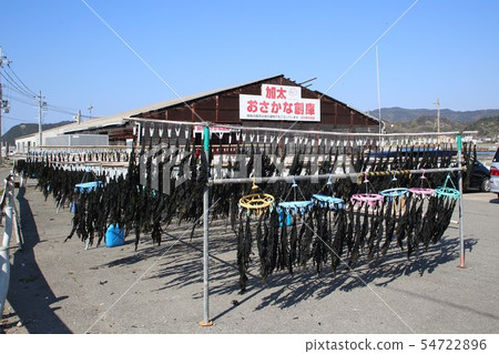 和歌山Kata捕魚港口風景 54722896