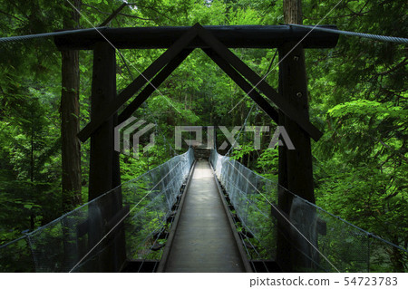 Suspension bridge in the Atera Valley promenade 54723783