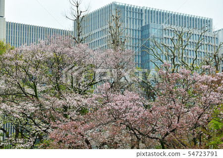 Town view Tokyo Marunouchi Town view Tokyo Marunouchi 54723791