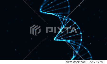 DNA DNA 54725789