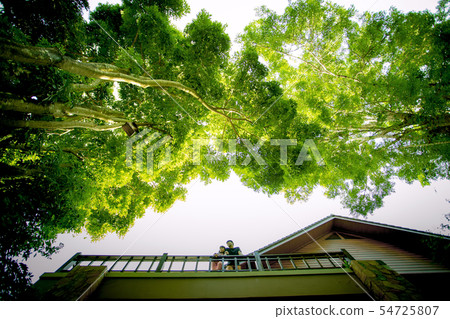 younger man and woman standing on home terrace 54725807