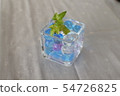 Hedera cultivation case by hydro culture 54726825
