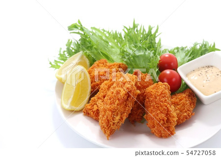 Oyster fly white background 54727058