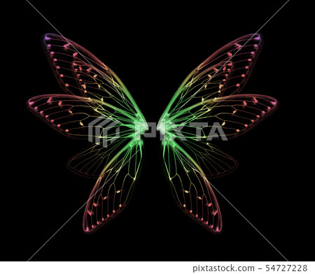 wings of Insect cicada on black bacground 54727228
