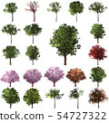 Green Forrest tree background.  54727322