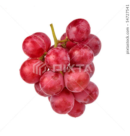 red grapes isolated on white background. red grapes isolated on white background. 54727541