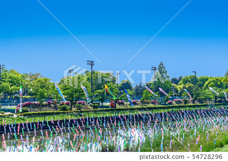 Tatebayashi Koinobori no Sato Festival Tatebayashi City 54728296