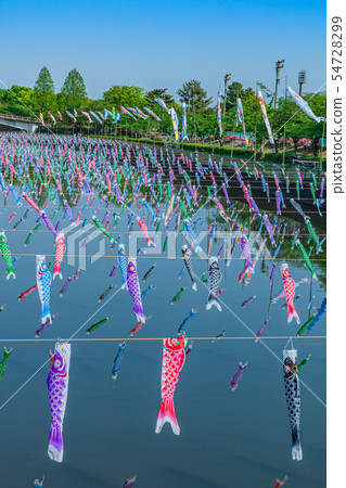 Tatebayashi Koinobori no Sato Festival Tatebayashi City Tatebayashi Koinobori no Sato Festival Tatebayashi City 54728299