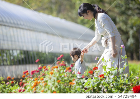 Family parent and child Family parent and child 54729494