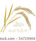 Rice 54729904