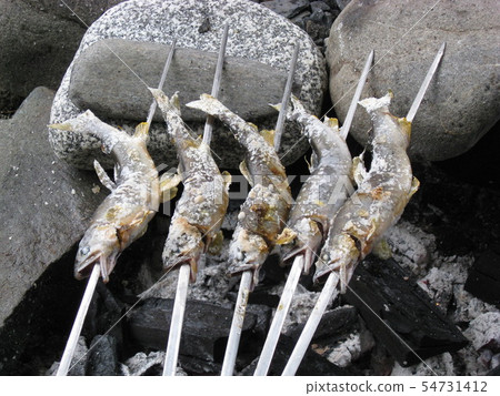 Salt-grilled salmon 54731412