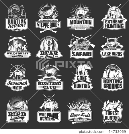 Hunting animals, birds, hunter guns and rifle 54732069