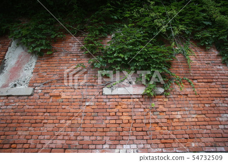 Aquarium trace of Wakayama Shinwakaura Aquarium trace of Wakayama Shinwakaura 54732509