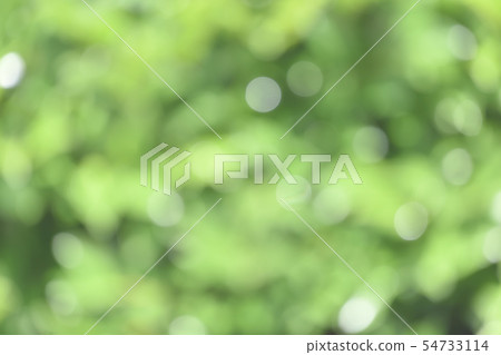 Ball bokeh green background (45-1-5) 54733114