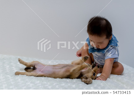 坐著的寶寶和狗 坐著的寶寶和狗 54733415