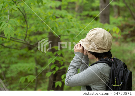 Binoculars female fresh green outdoors (May) Binoculars female fresh green outdoors (May) 54733871