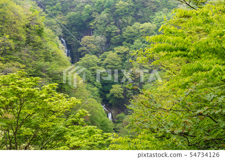 栃木縣日光市Kirigonokutaki(五月) 栃木縣日光市Kirigonokutaki(五月) 54734126