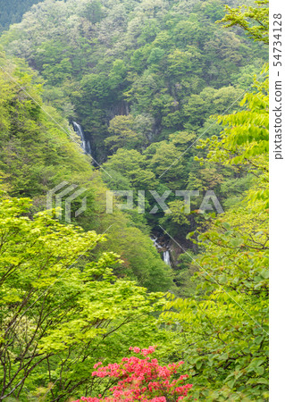 Nikko City, Tochigi Prefecture Kirigonokutaki (May) Nikko City, Tochigi Prefecture Kirigonokutaki (May) 54734128
