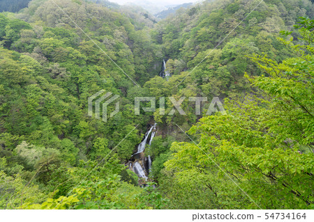 Nikko City, Tochigi Prefecture Kirigonokutaki (May) 54734164