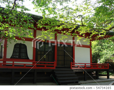 新鮮的綠色Yonmei寺 新鮮的綠色Yonmei寺 54734165