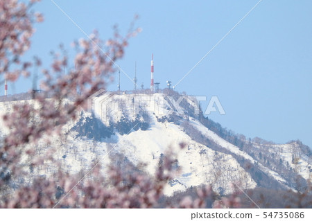 春天Teineyama 54735086