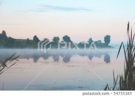 morning fog in the reeds by the lake 54735167