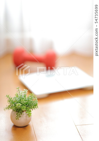Diet image Diet image 54735699