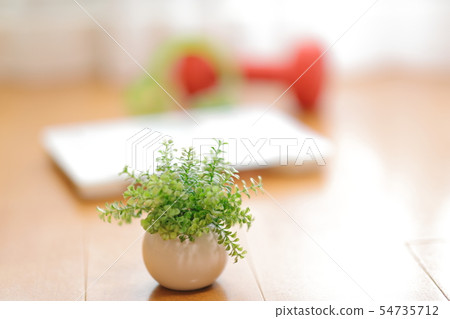 Diet image 54735712