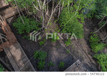 top view lady sitting on balcony 54736122