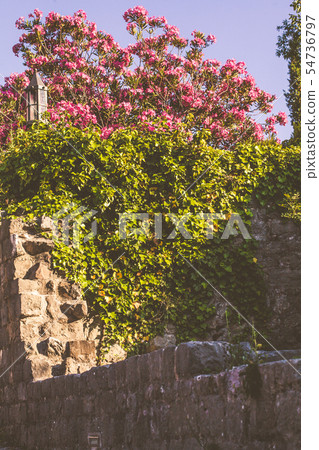 The ruins of the old town Bar in Montenegro. 54736797