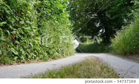 Country paths lanes & roads in summer, no cars or Country paths lanes & roads in summer, no cars or 54737169