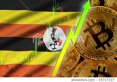 Uganda flag and cryptocurrency growing trend with Uganda flag and cryptocurrency growing trend with 54737317