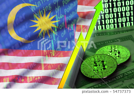 Malaysia flag and cryptocurrency growing trend Malaysia flag and cryptocurrency growing trend 54737373