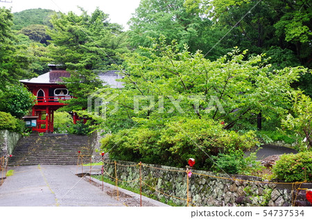 伊豆,Toi Onsen,Seiunji Temple 伊豆,Toi Onsen,Seiunji Temple 54737534