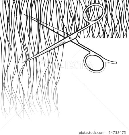 Scissors cut hair 54738475