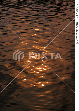 Reflections in a water in golden colors Reflections in a water in golden colors 54738857