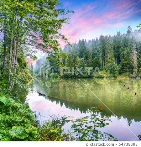 Majestic summer view of mountain lake Lacul Rosu 54739395