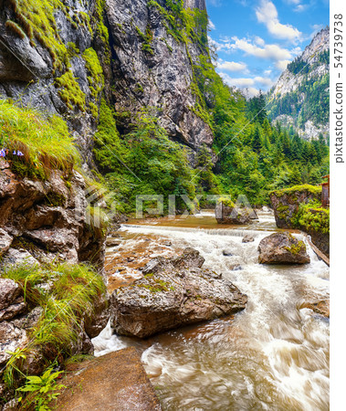Fast mountain river at Bicaz Canyon/Cheile 54739738