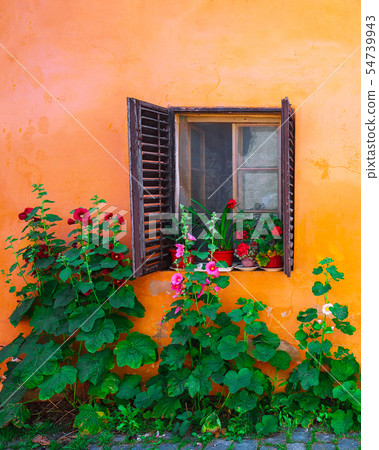 Orange facade with windows and flowers from 54739943