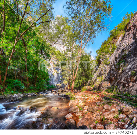 Turda gorge Cheile Turzii is a natural reserve Turda gorge Cheile Turzii is a natural reserve 54740271