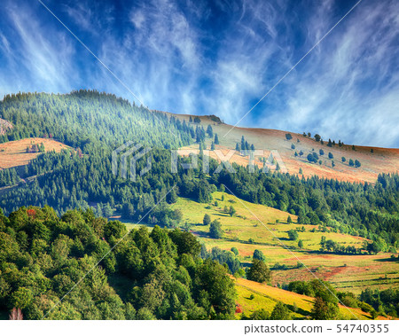 Majestic countryside landscape with forested hills 54740355