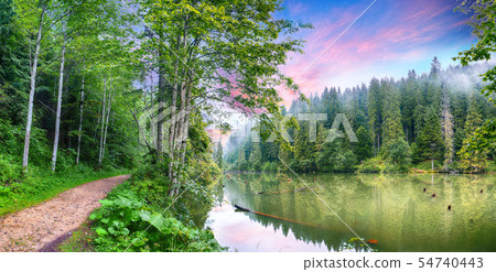 Majestic summer view of mountain lake Lacul Rosu Majestic summer view of mountain lake Lacul Rosu 54740443