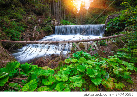 View of cascede near Bride's Veil / Valul Miresei 54740595