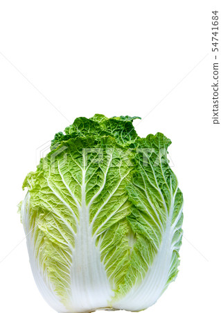 中國的白菜 中國的白菜 54741684